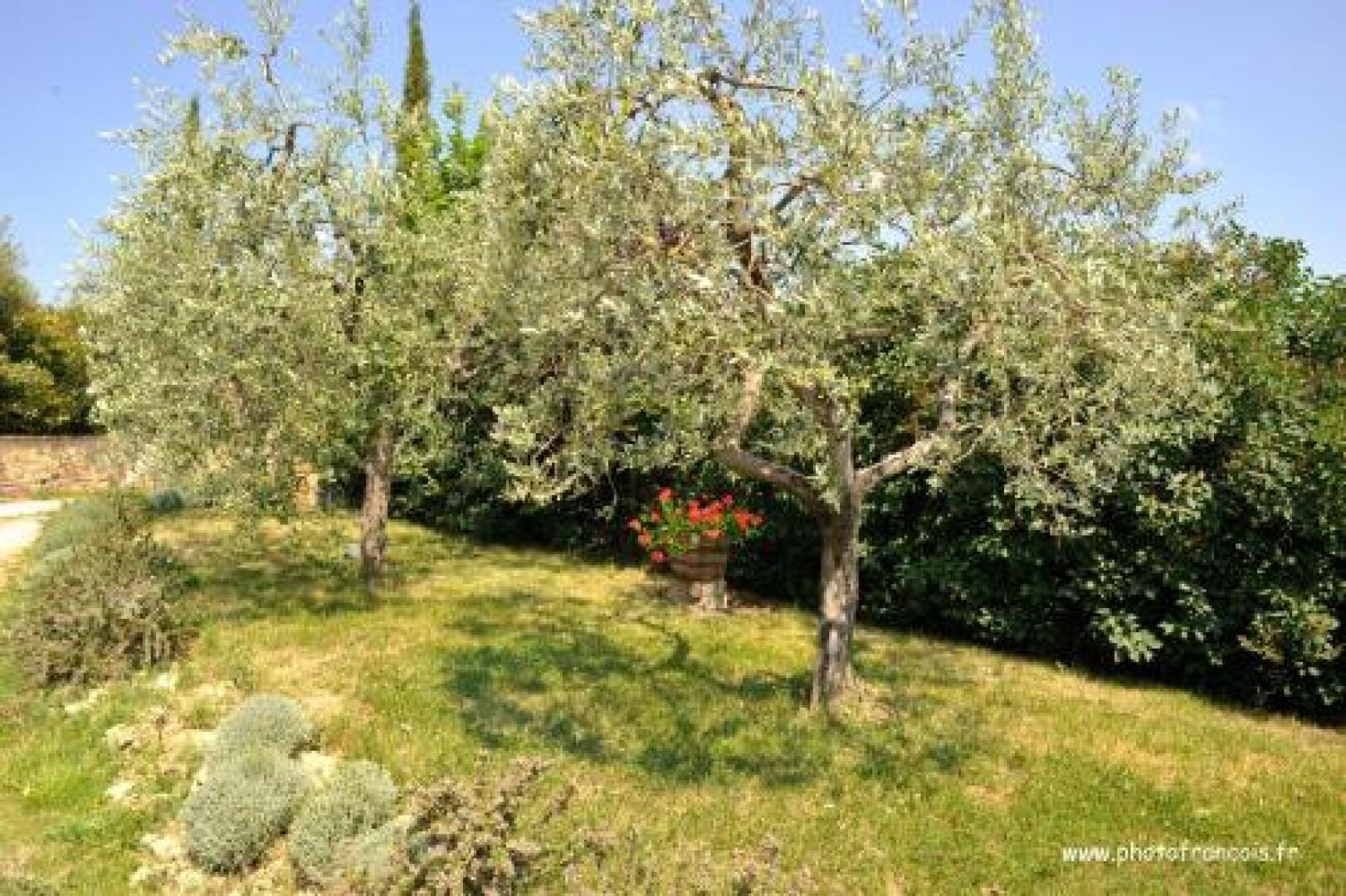 Agriturismo Il Sasso