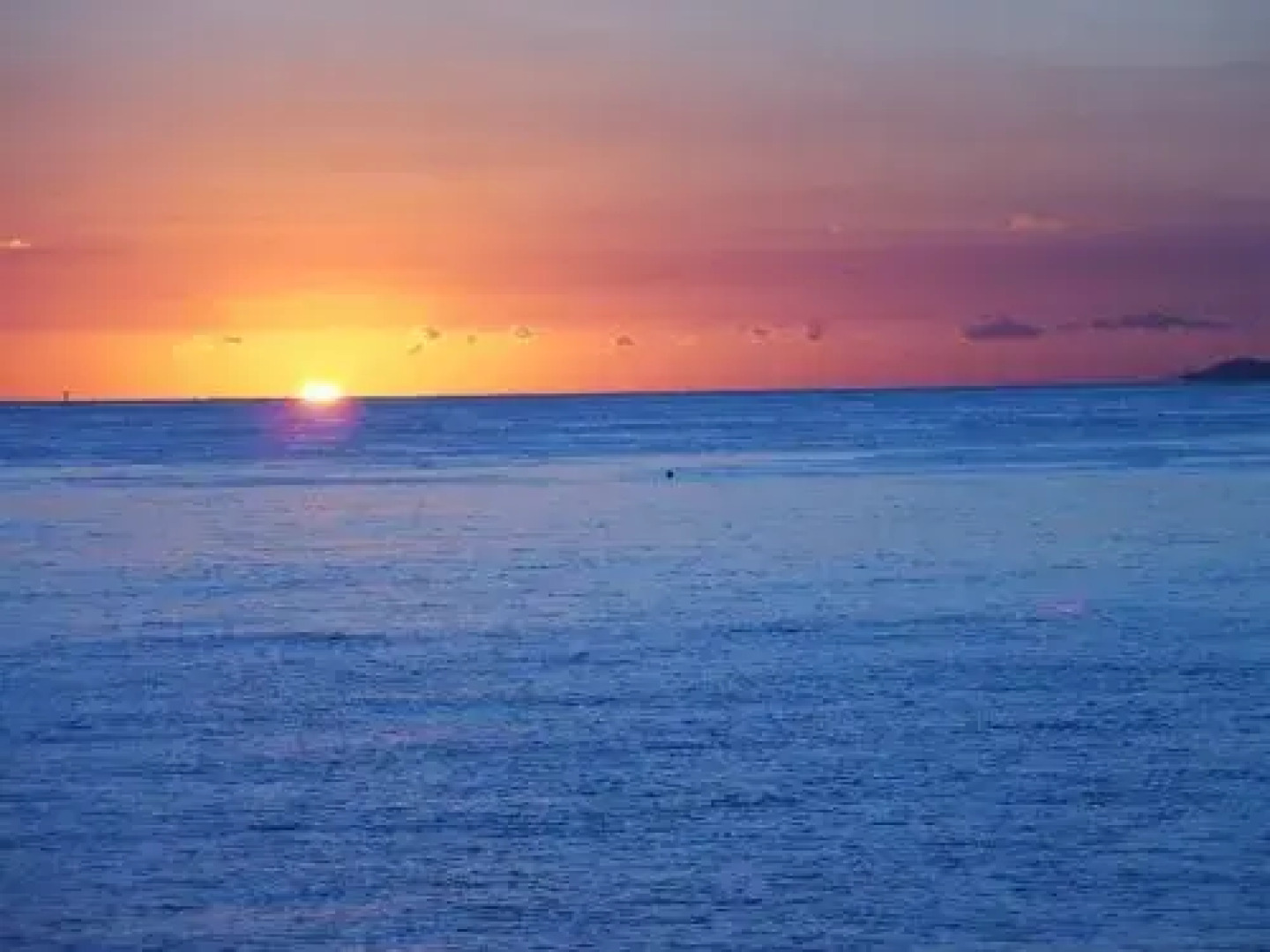 Waterfront Retreat with room for a boat - Welsby Pde, Bongaree