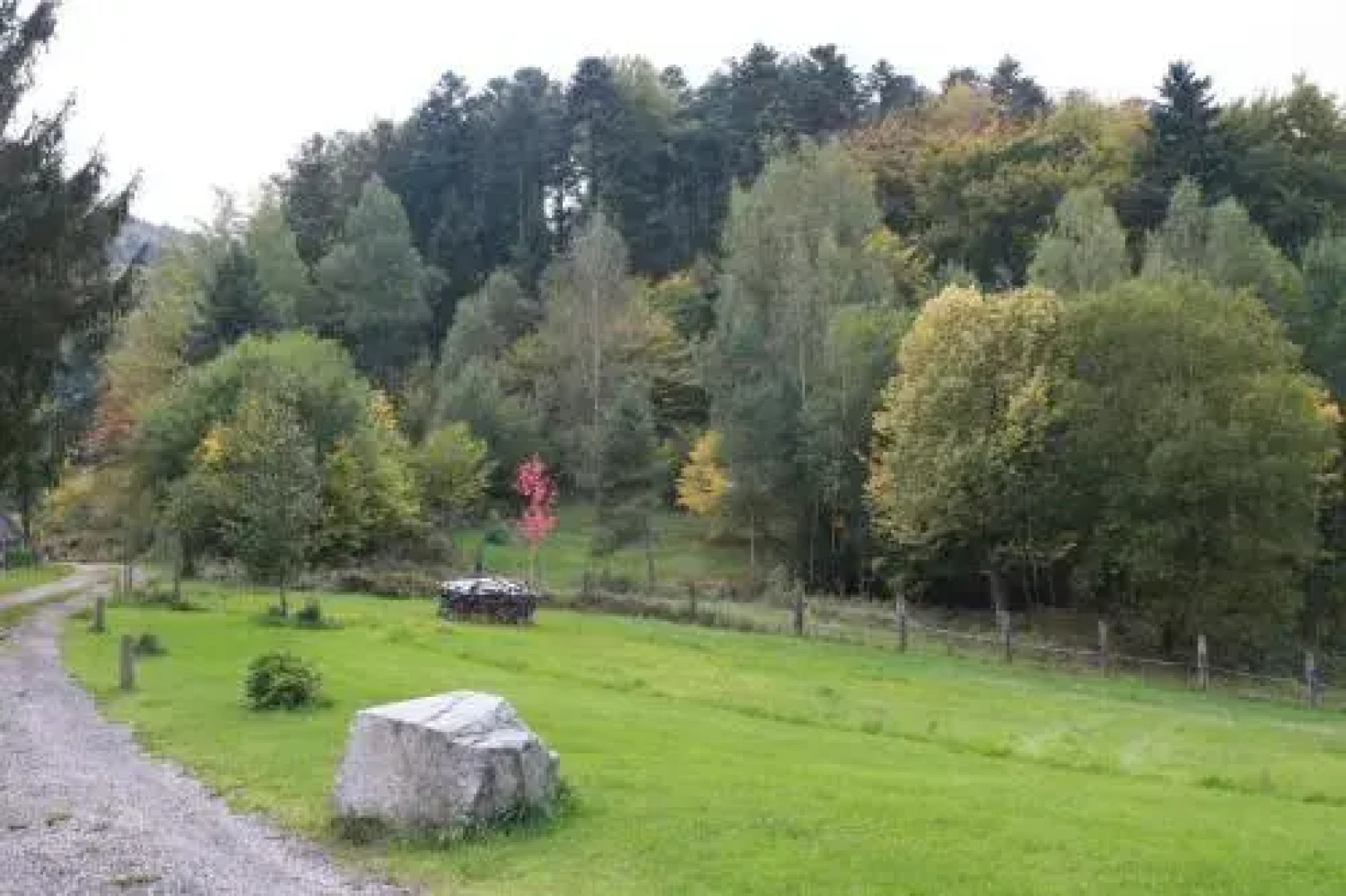À L'Orée du Bois