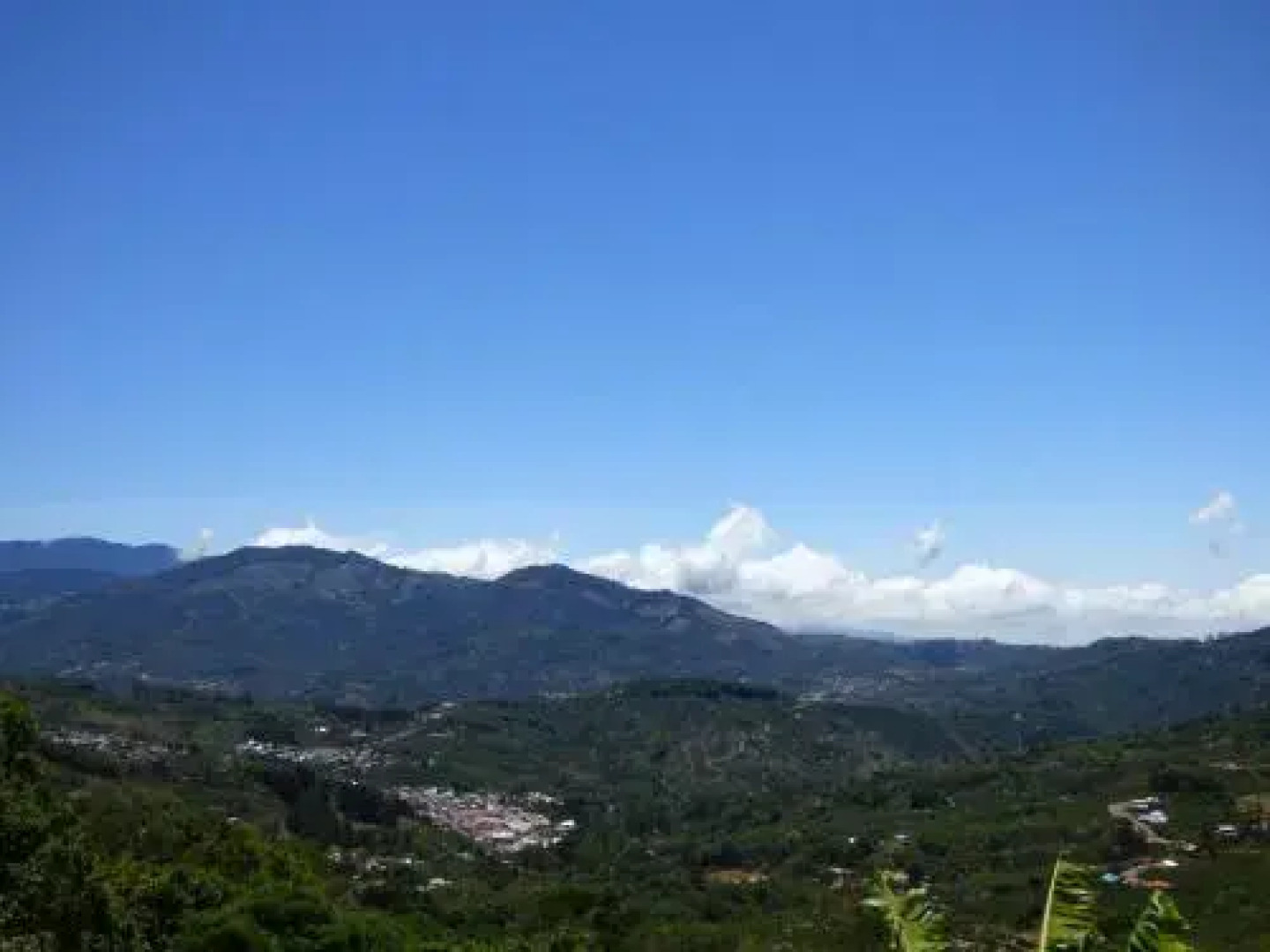 Cabañas El Coyote