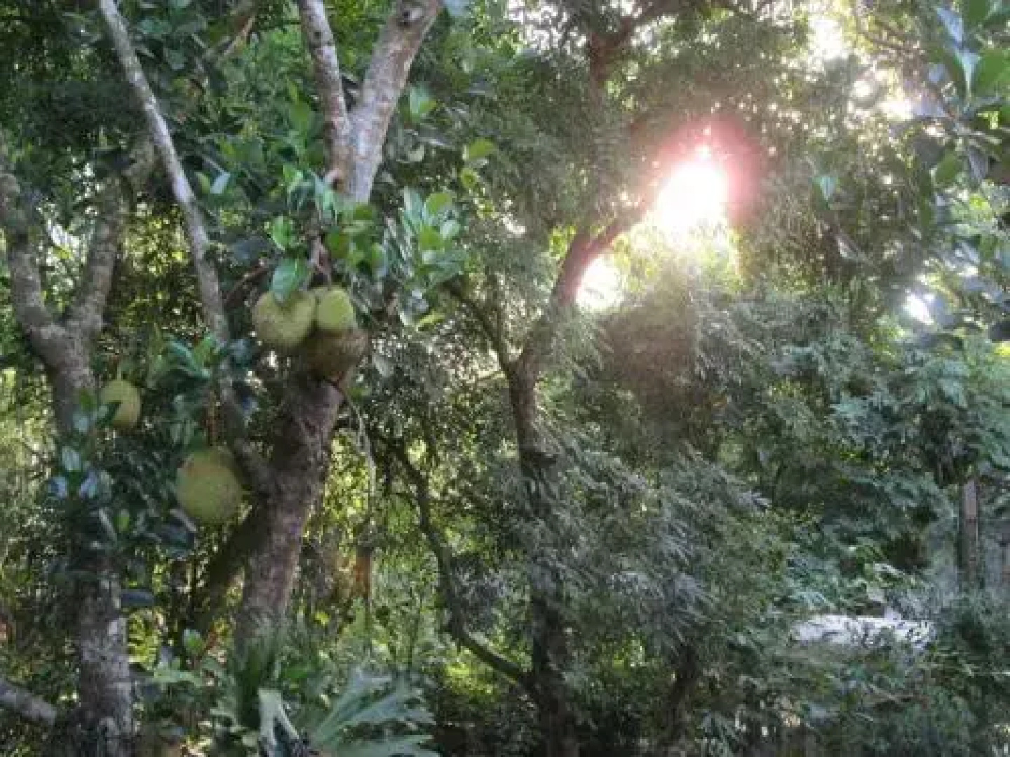 Mai Chau Hostel - Bar Restaurant