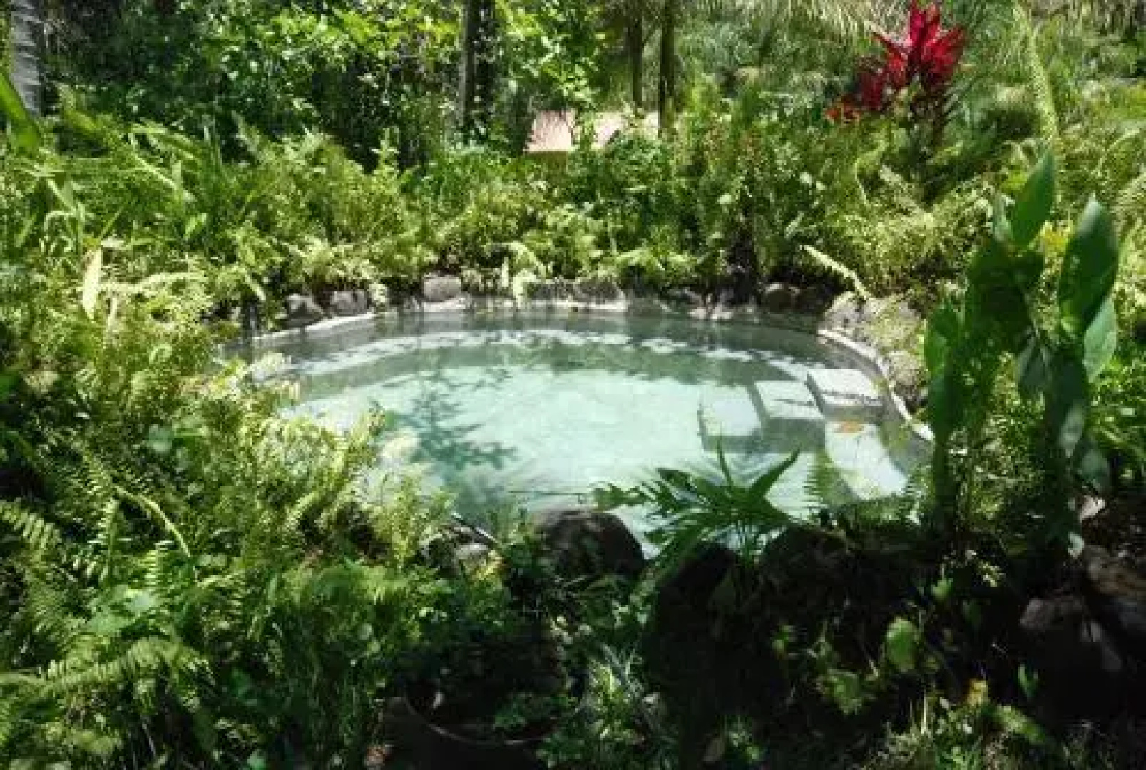 Thermal Paradise Villa