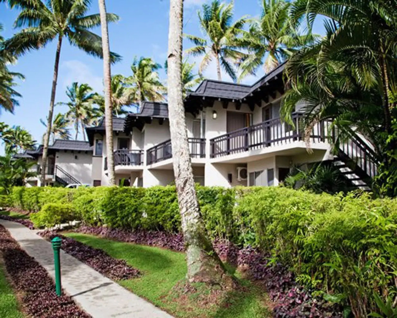 Fiji Palms