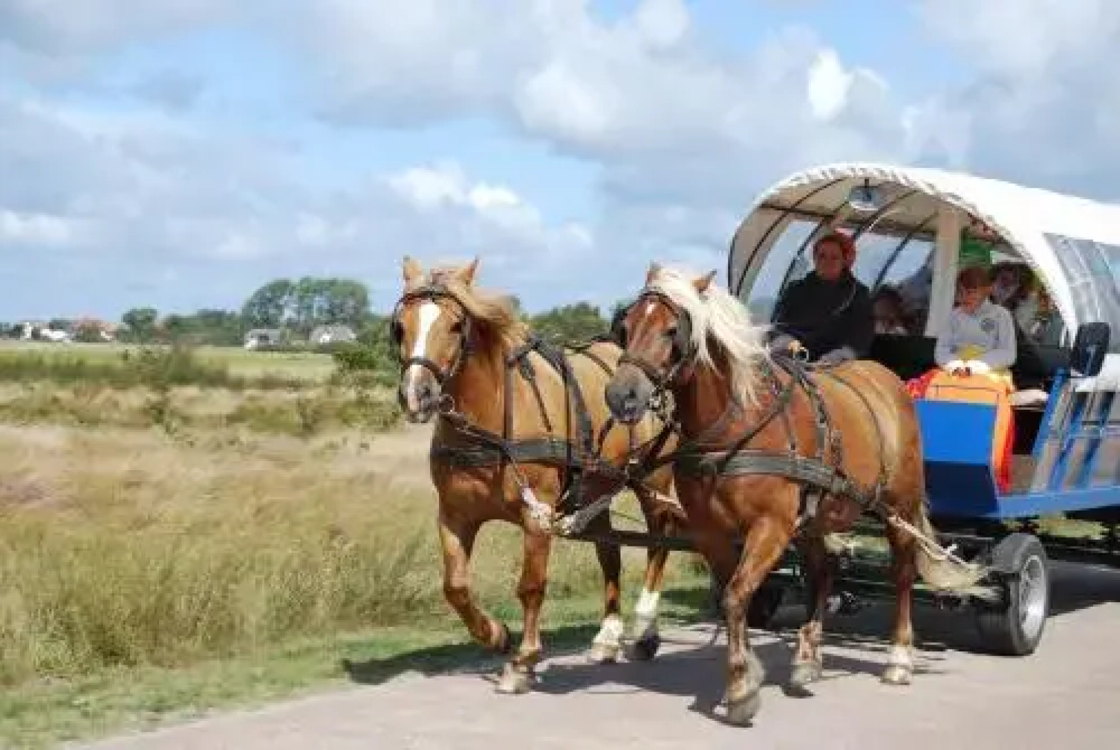 Doppelhaushälfte in Vitte auf Hiddensee