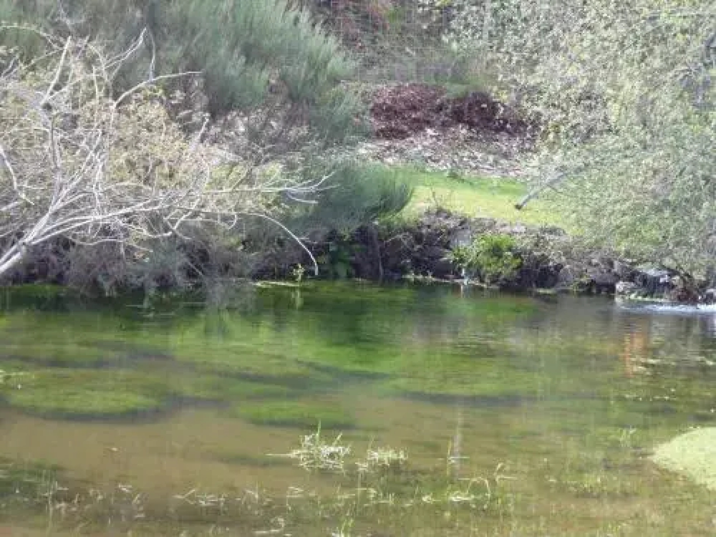 Quinta do Favacal - Agro-turismo - Serra da Estrela