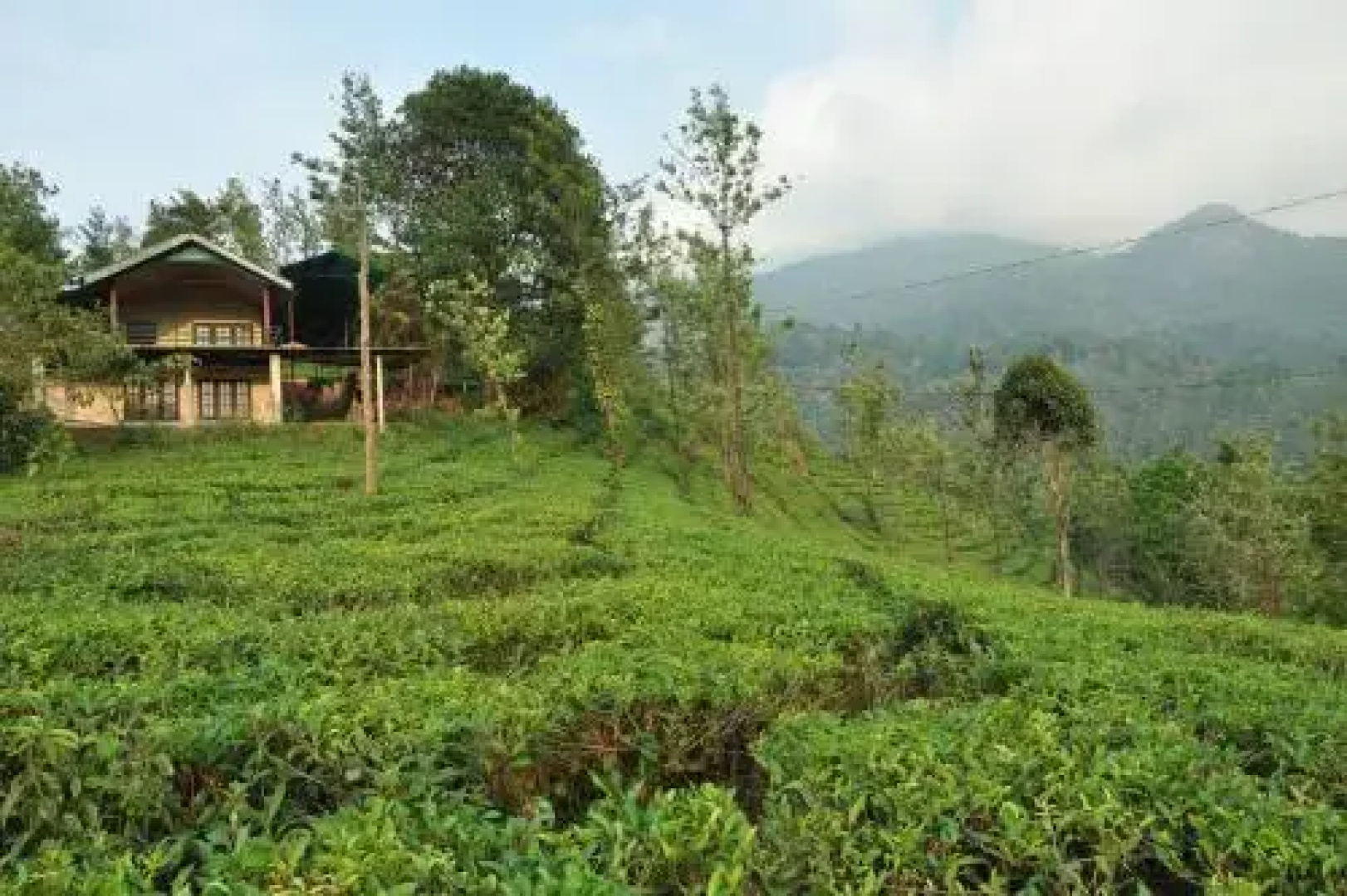 Tea Garden Holiday Home