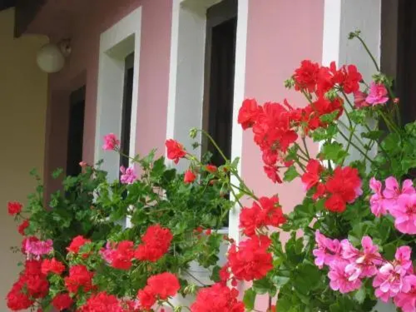 Isopp Erian Zimmer Appartements