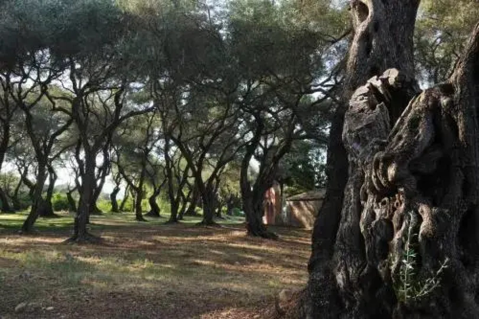 Love Studio In Agia Pelagia, Corfu