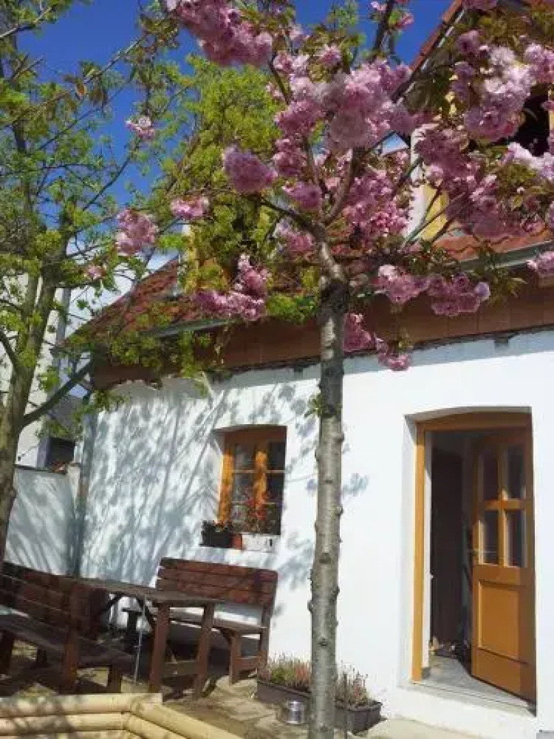Apartmán Malý mnich