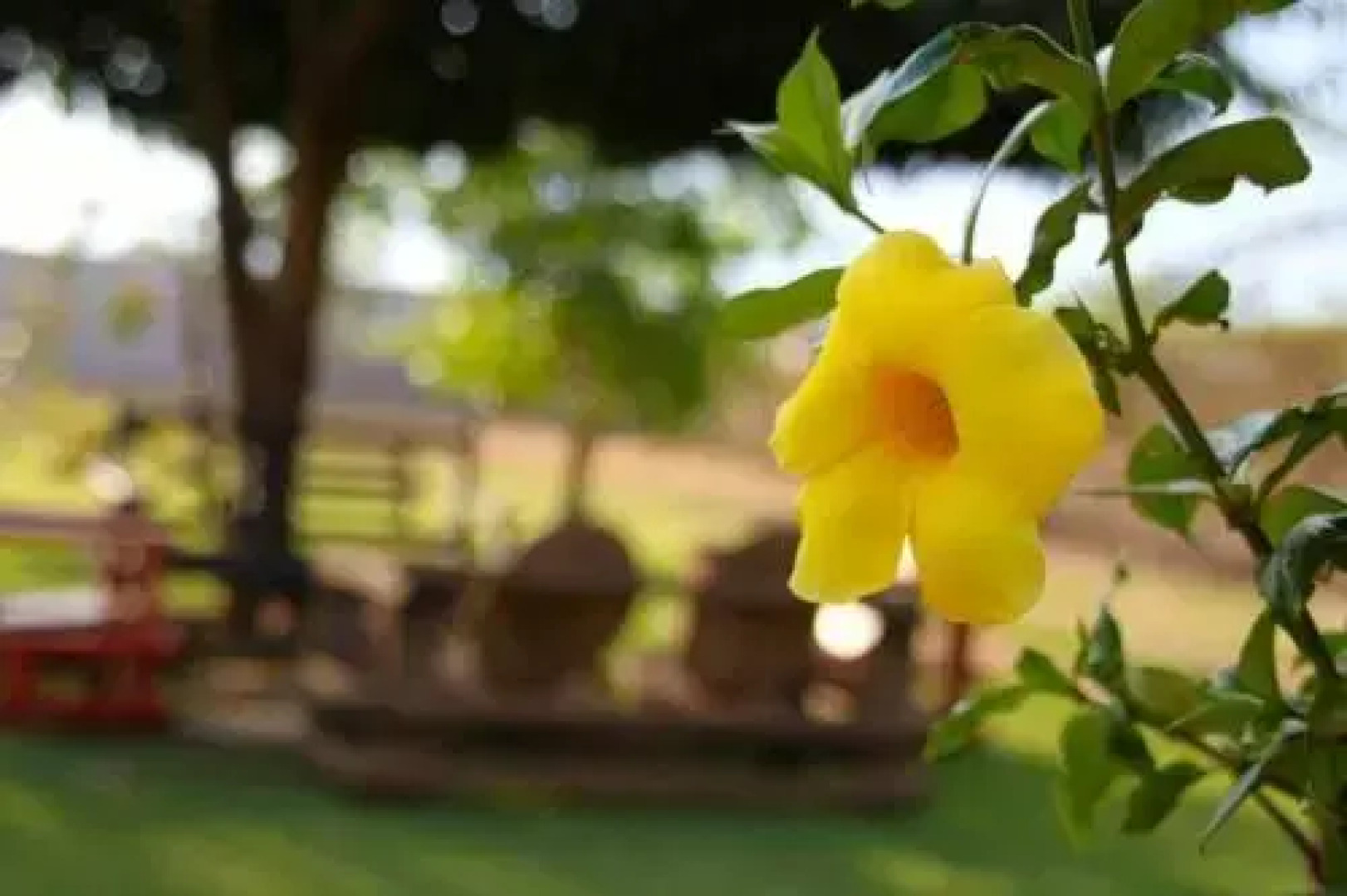 Estância Quinta dos Pássaros