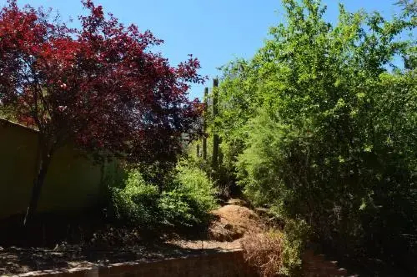 Campesano Ranch Cabañas