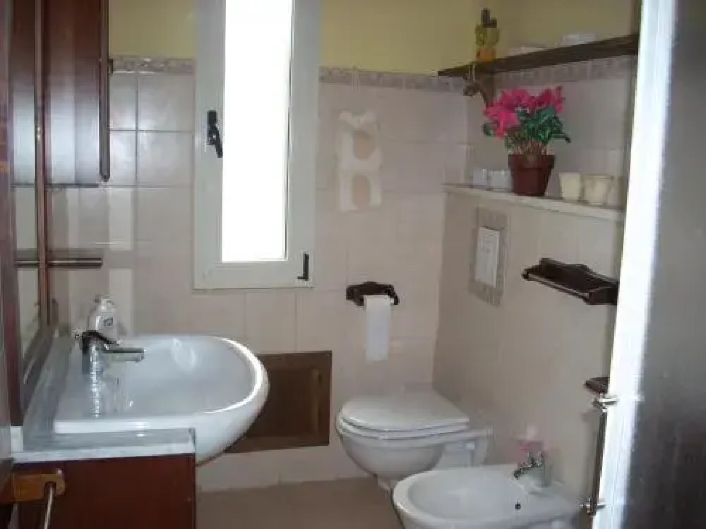 Sa Rosa E Su Trapperi