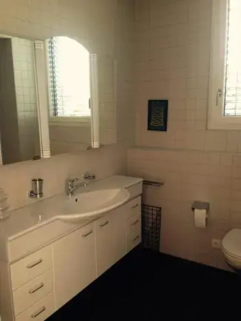 AVLiving City Flat Basel with Roof Garden