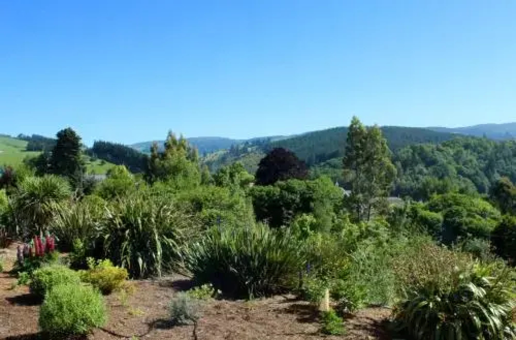 Tonix Boutique Accommodation