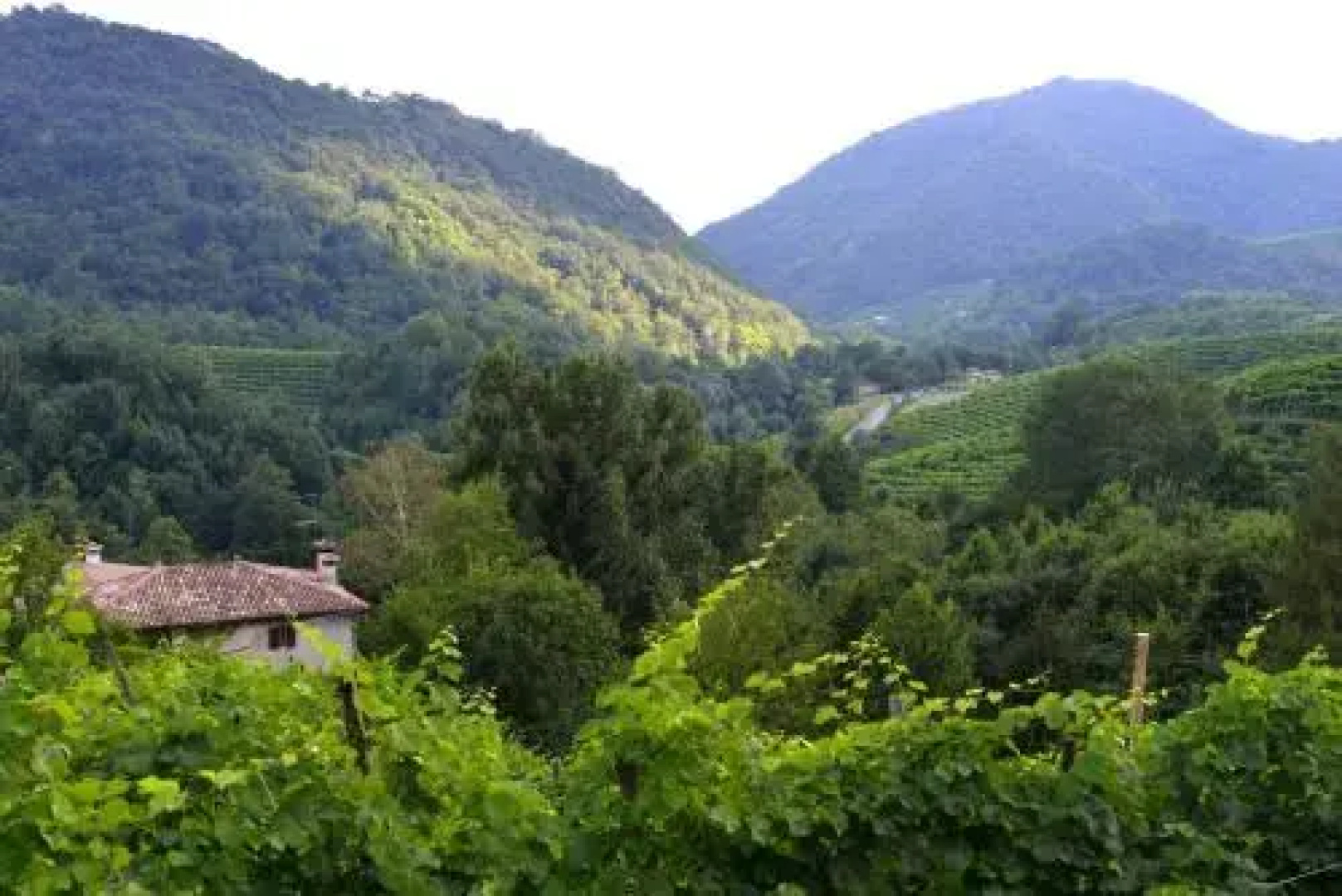 B&B Casa di Campagna