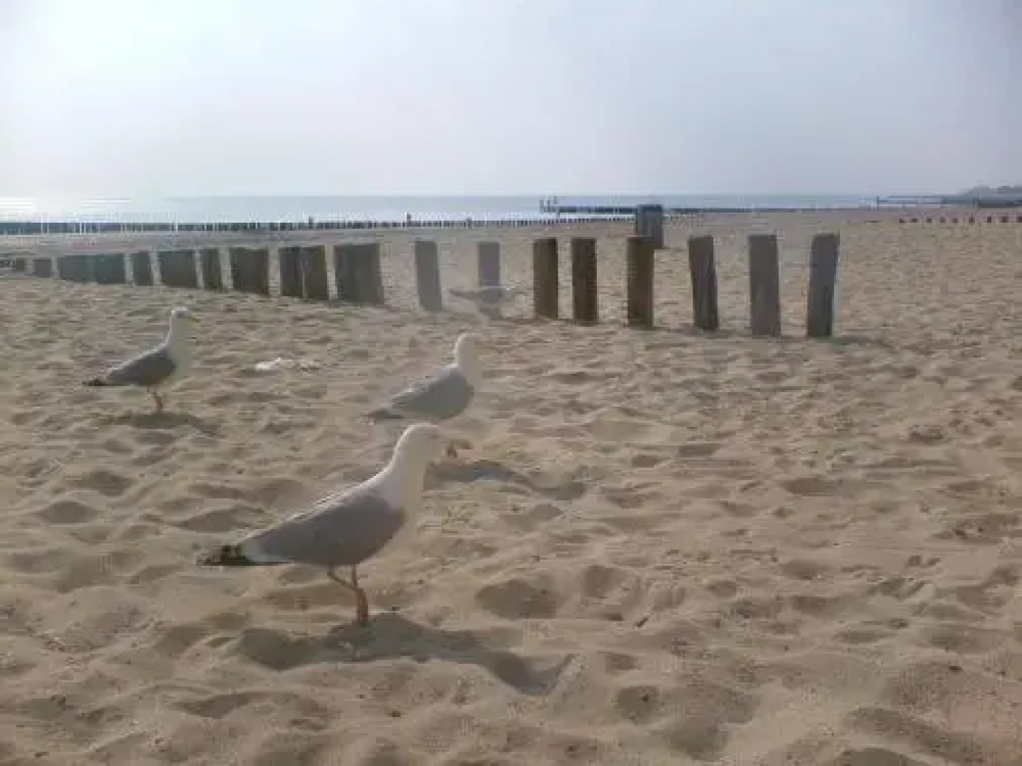 Vakantieverblijf Uit en Thuis