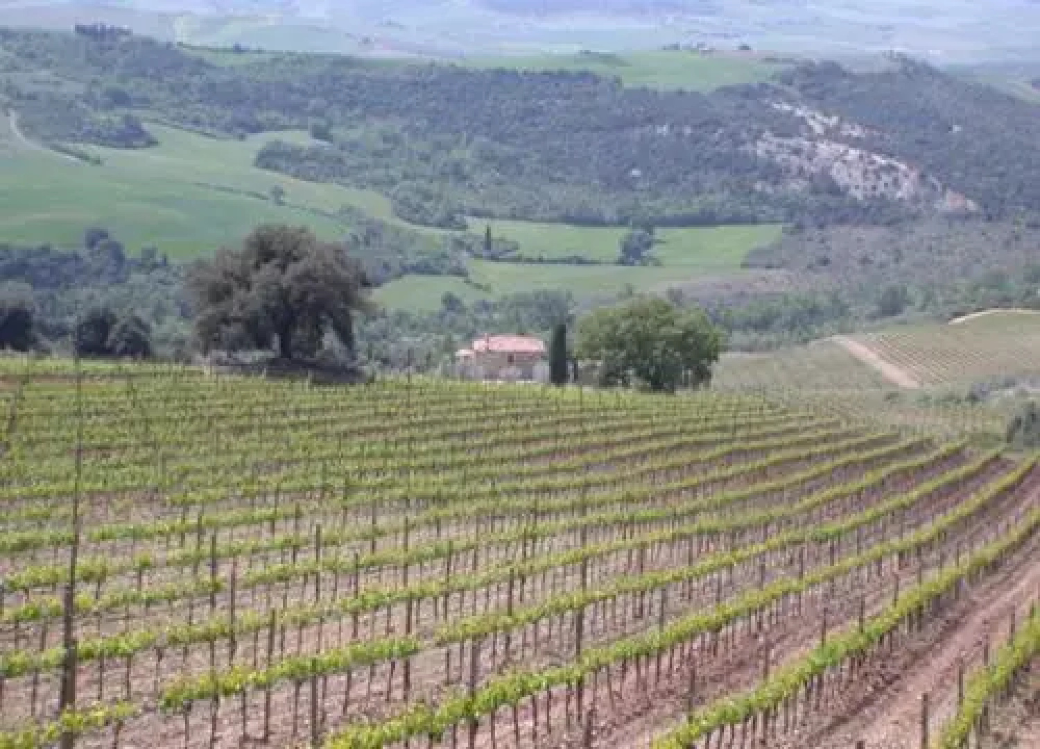 Villa Oliveto