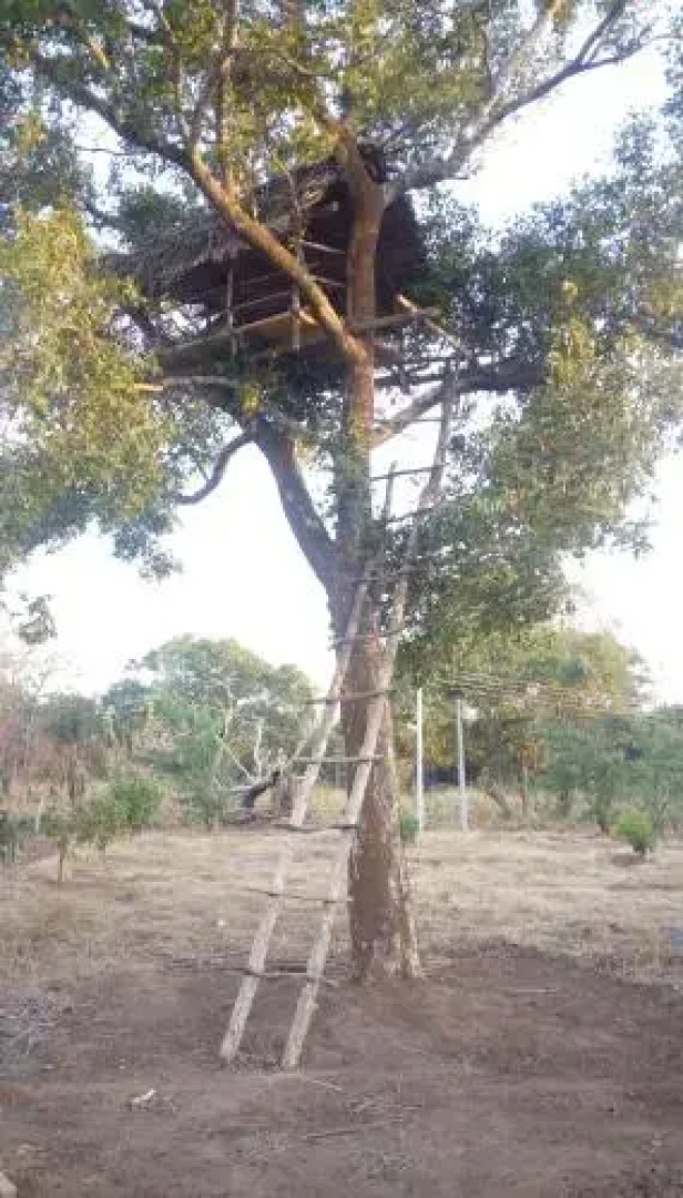 Gaja Resort Sigiriya