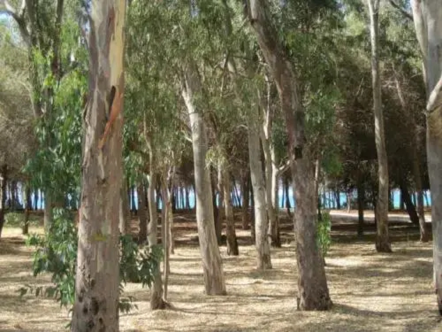 B&B Eraclea Minoa Mare