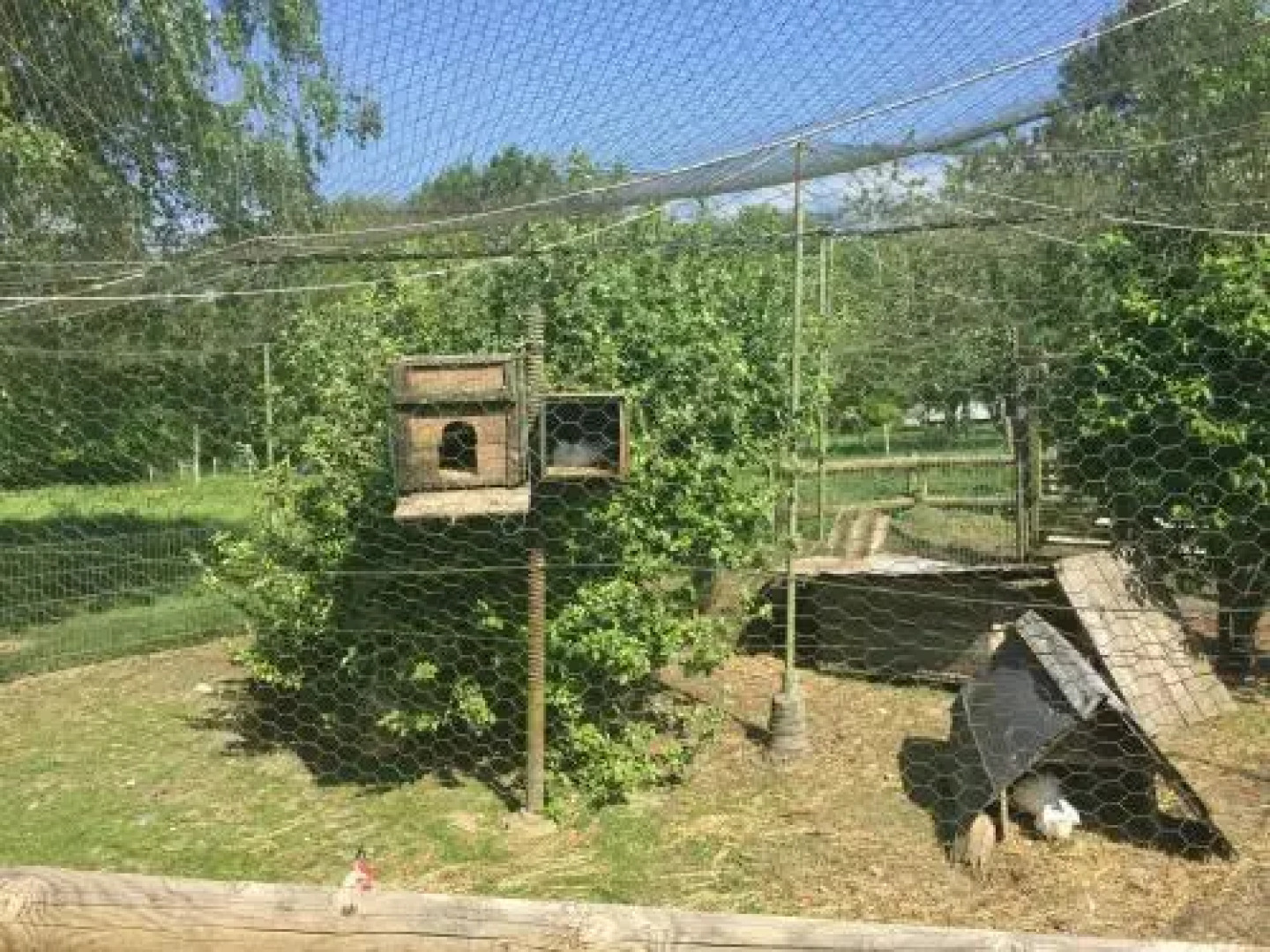Chambre chez Corinne