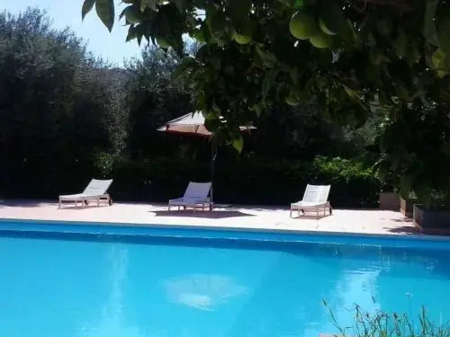 Il Sole e la Margherita