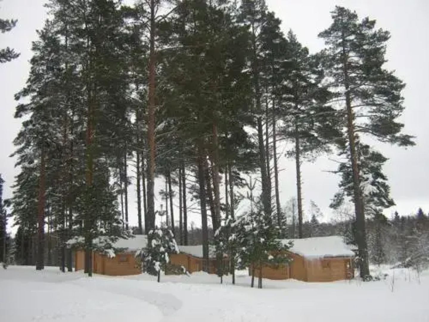 Artur´s Eaterie and Holiday home