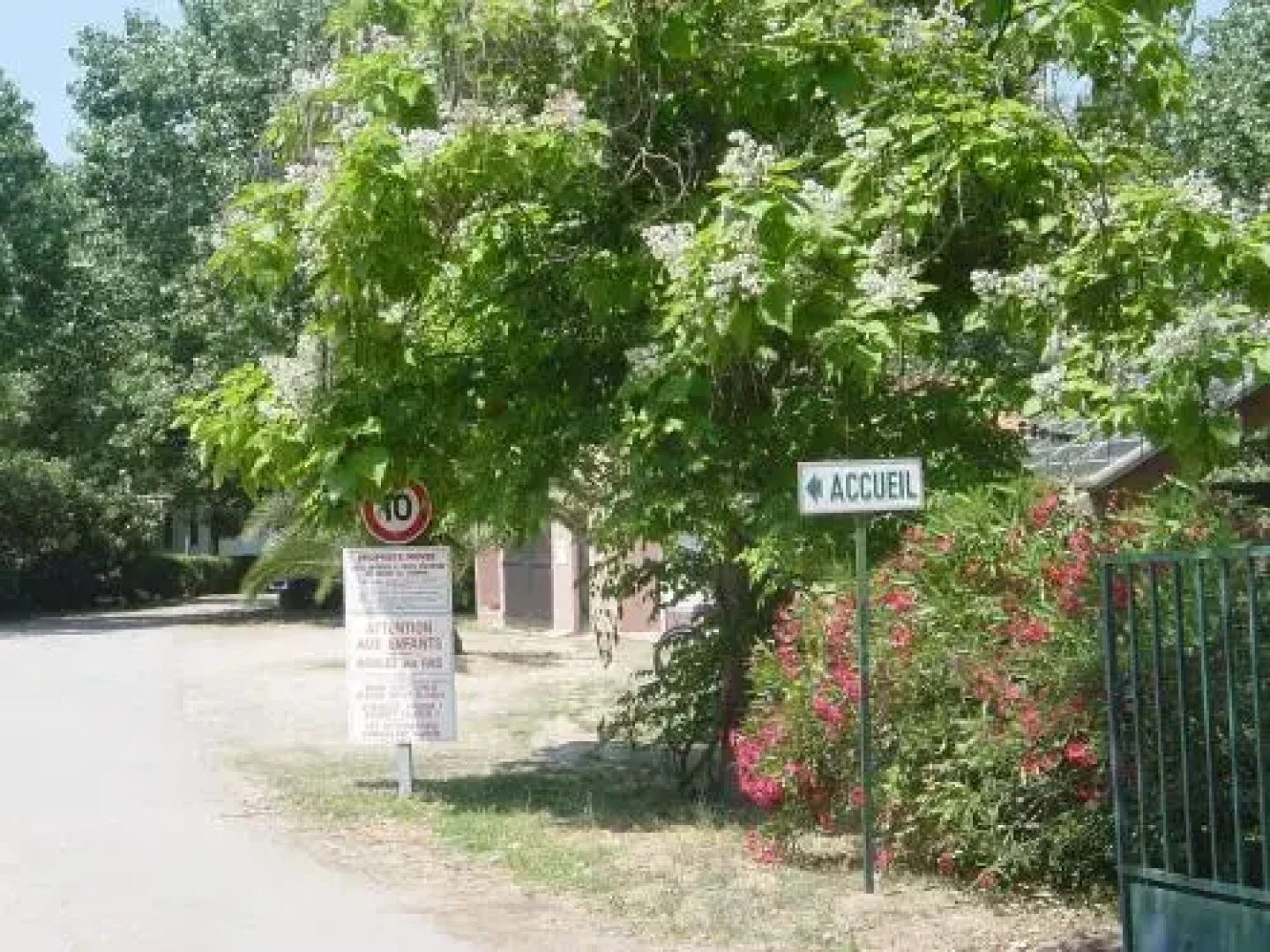 Camping Benista