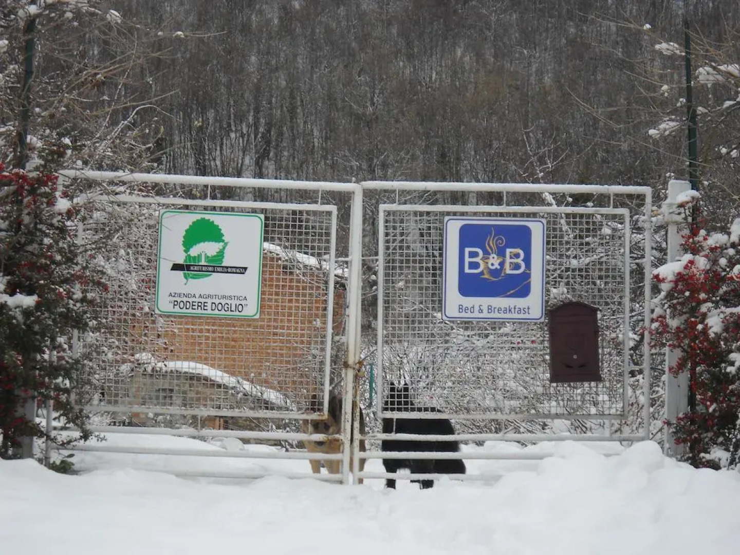 Agriturismo Podere Doglio