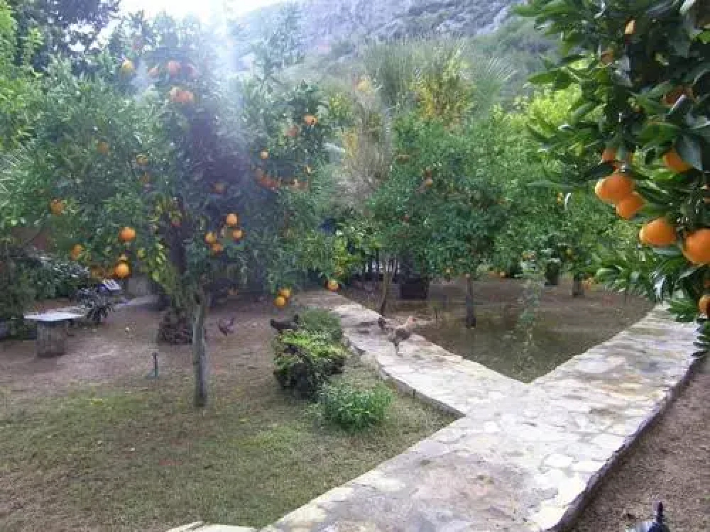 Portalimo Lodge Hotel