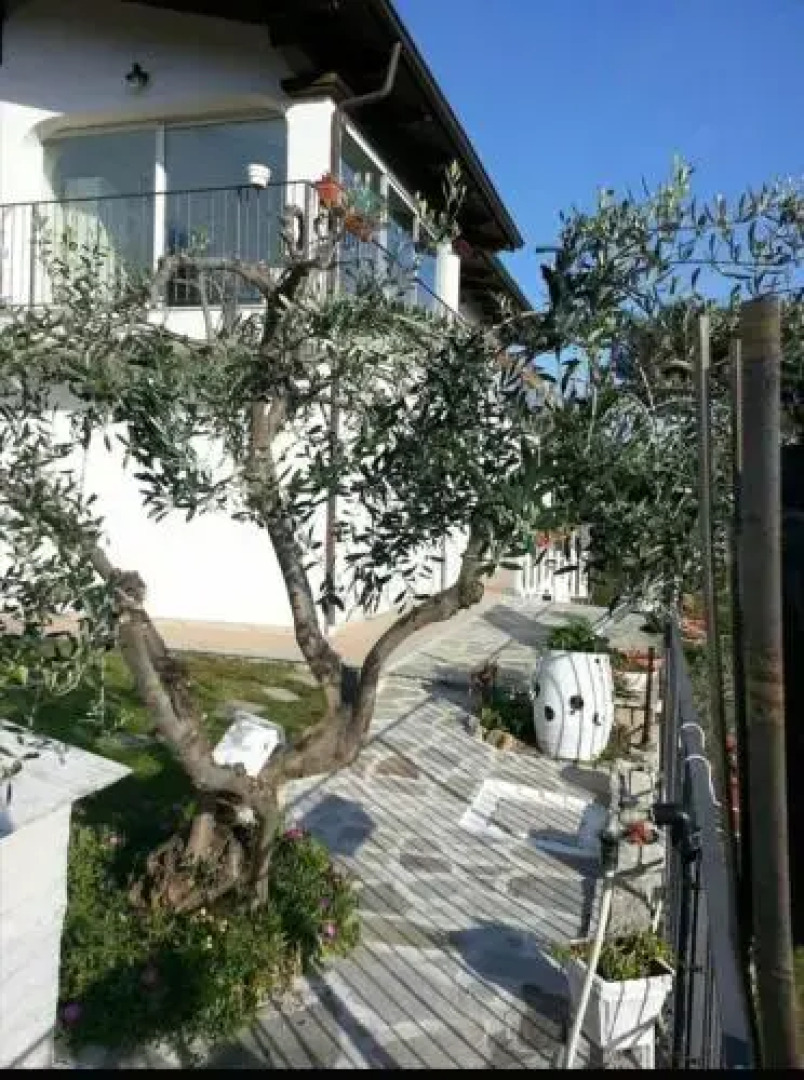 Message in a Bottle Bed & Breakfast