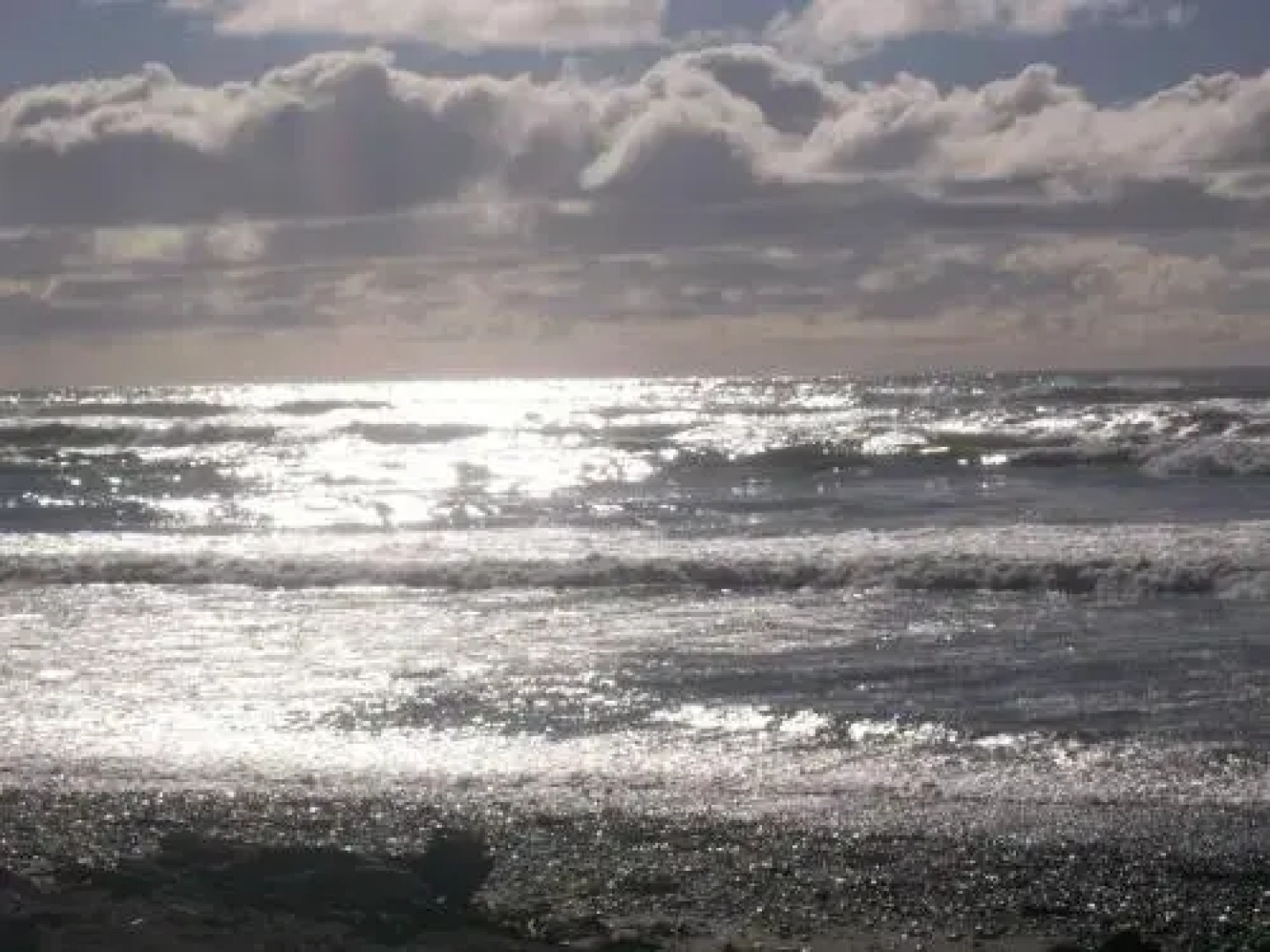 154 Kaniere Road Accommodation