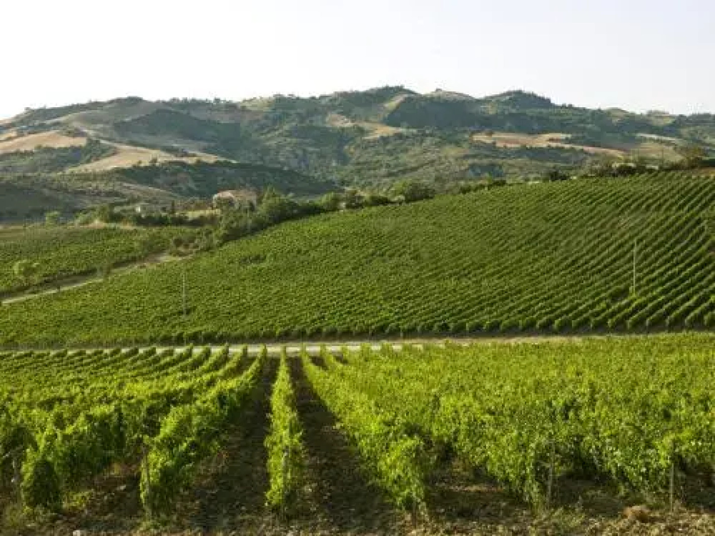 Poderi Firenze