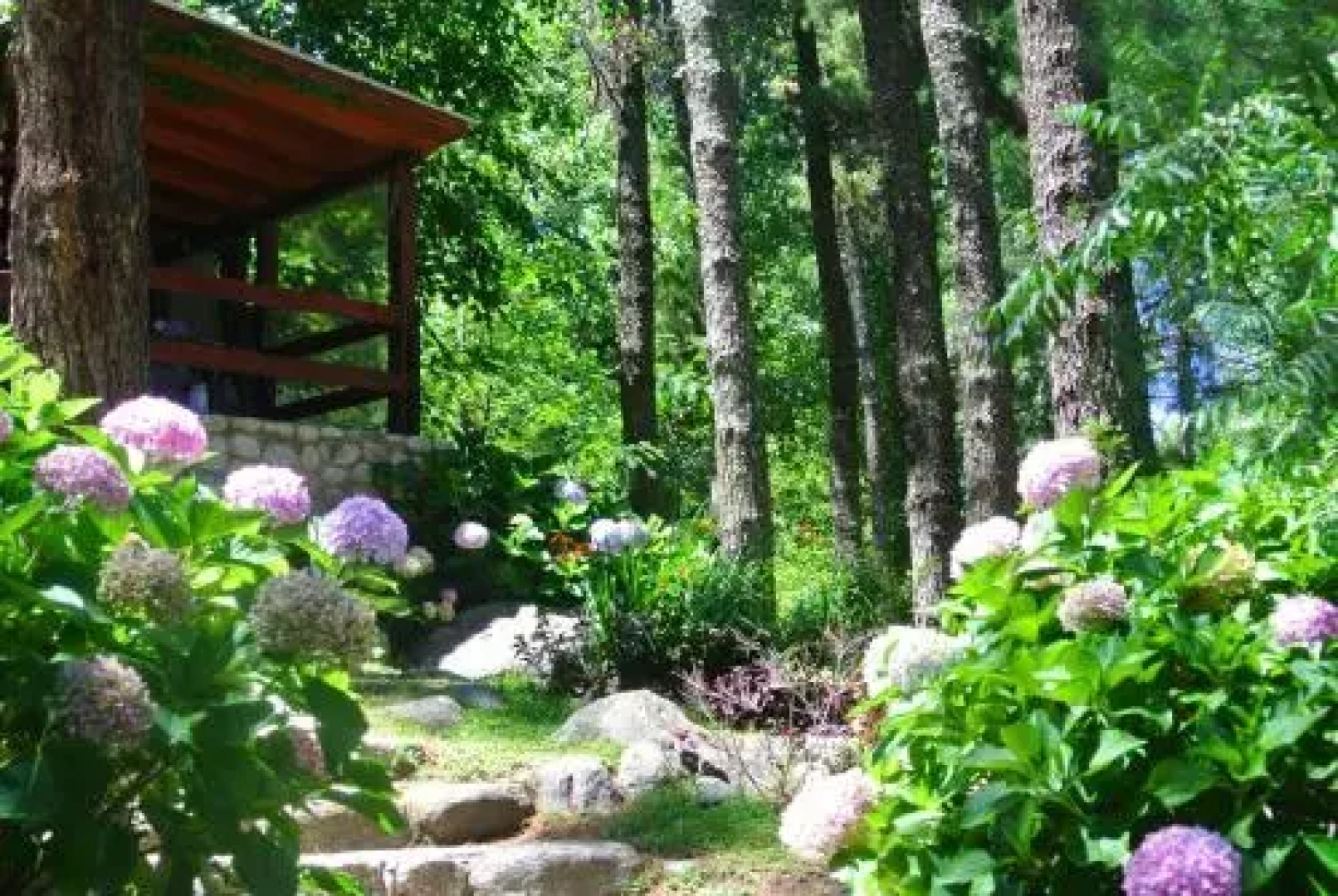 Las Nubes Cabañas & Loft