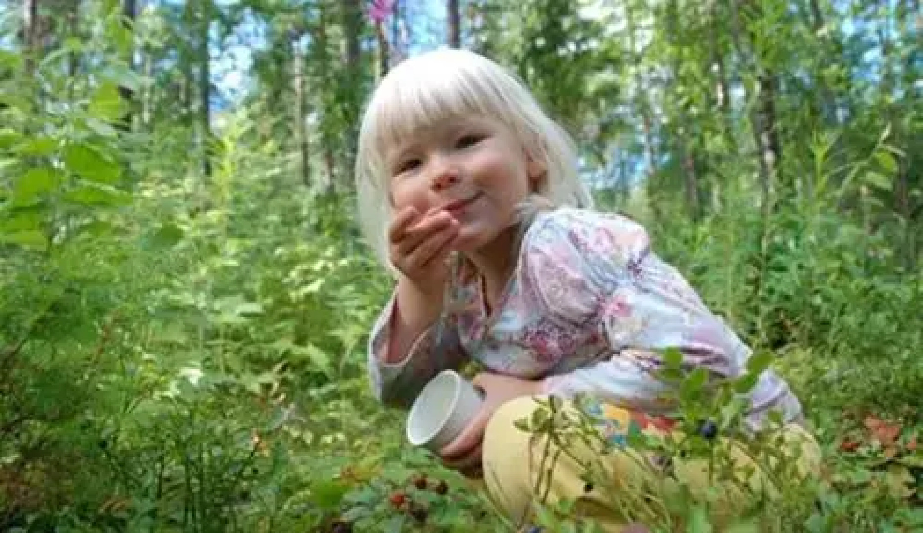 Kapiaisen Lomamökit