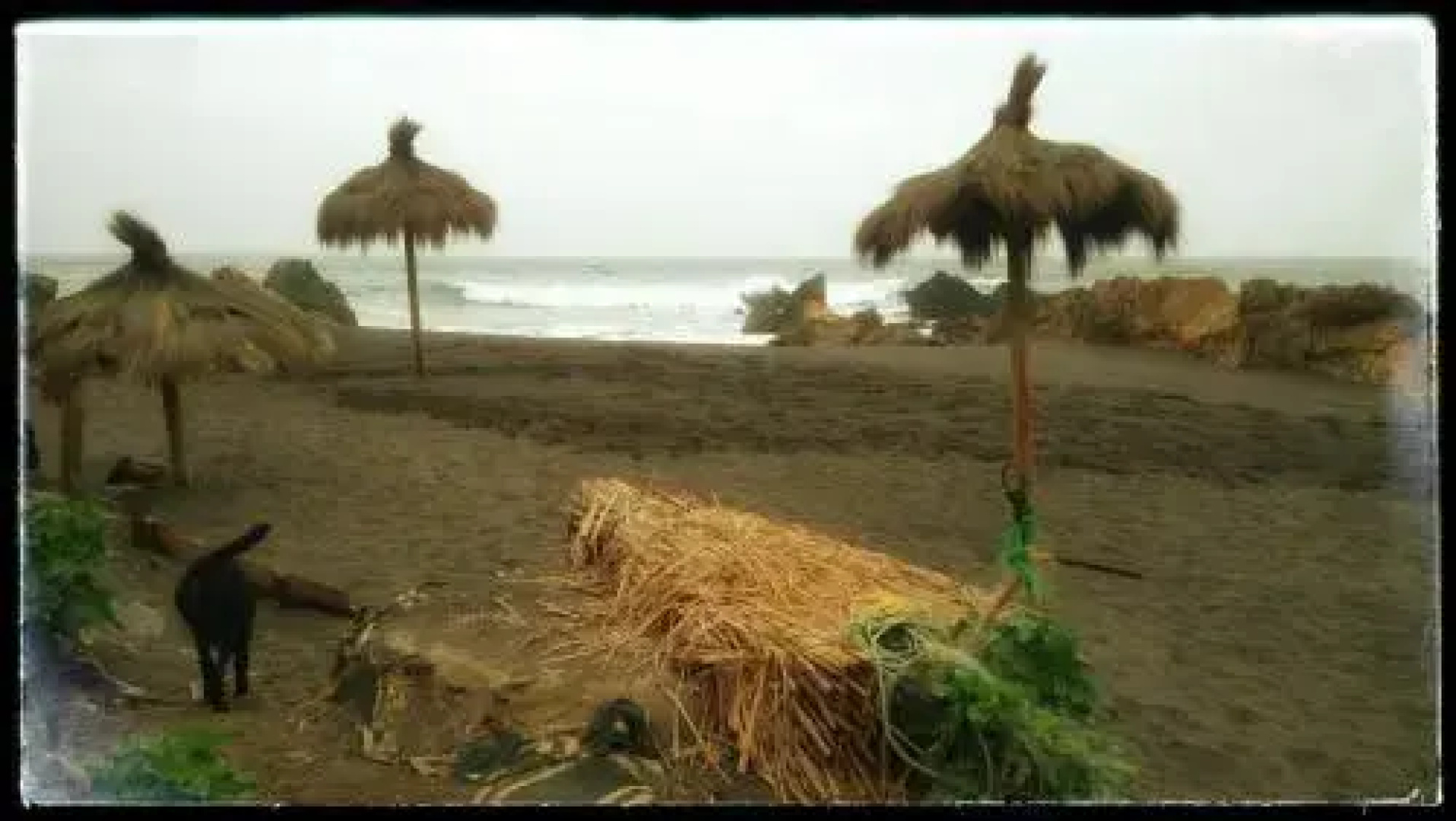 Wave Pichilemu Lodge