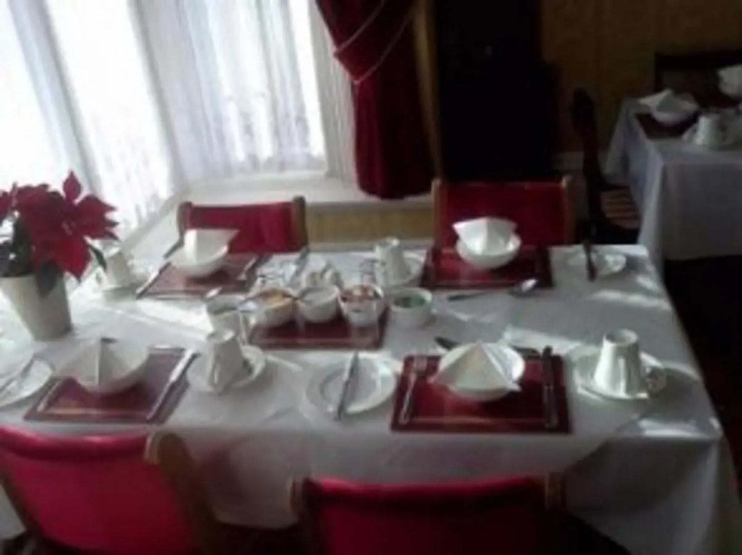 The Lawn Guest House