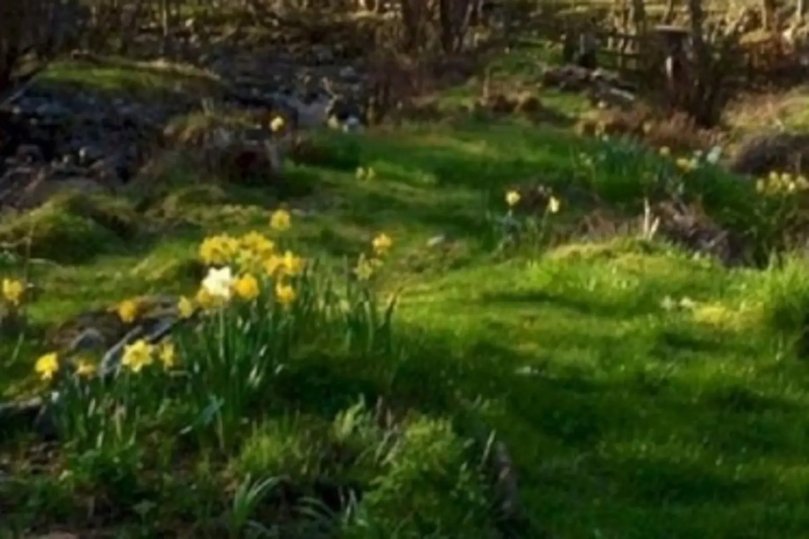 Graineag Bed And Breakfast