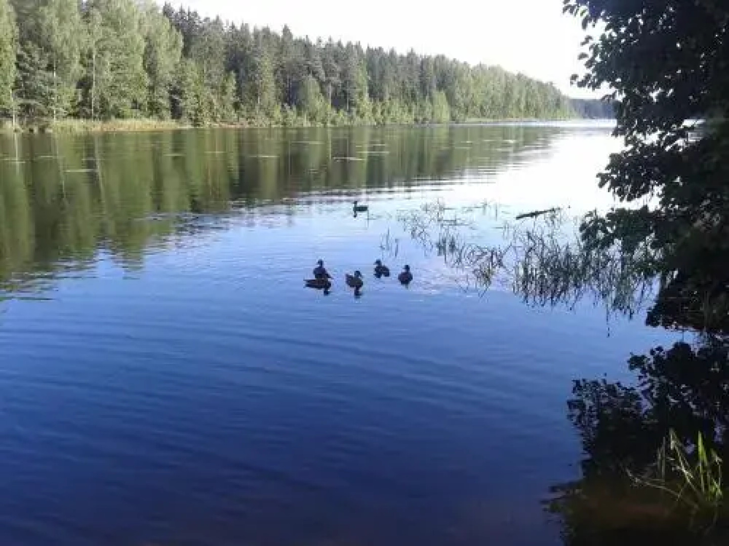 База Отдыха Пикник Парк