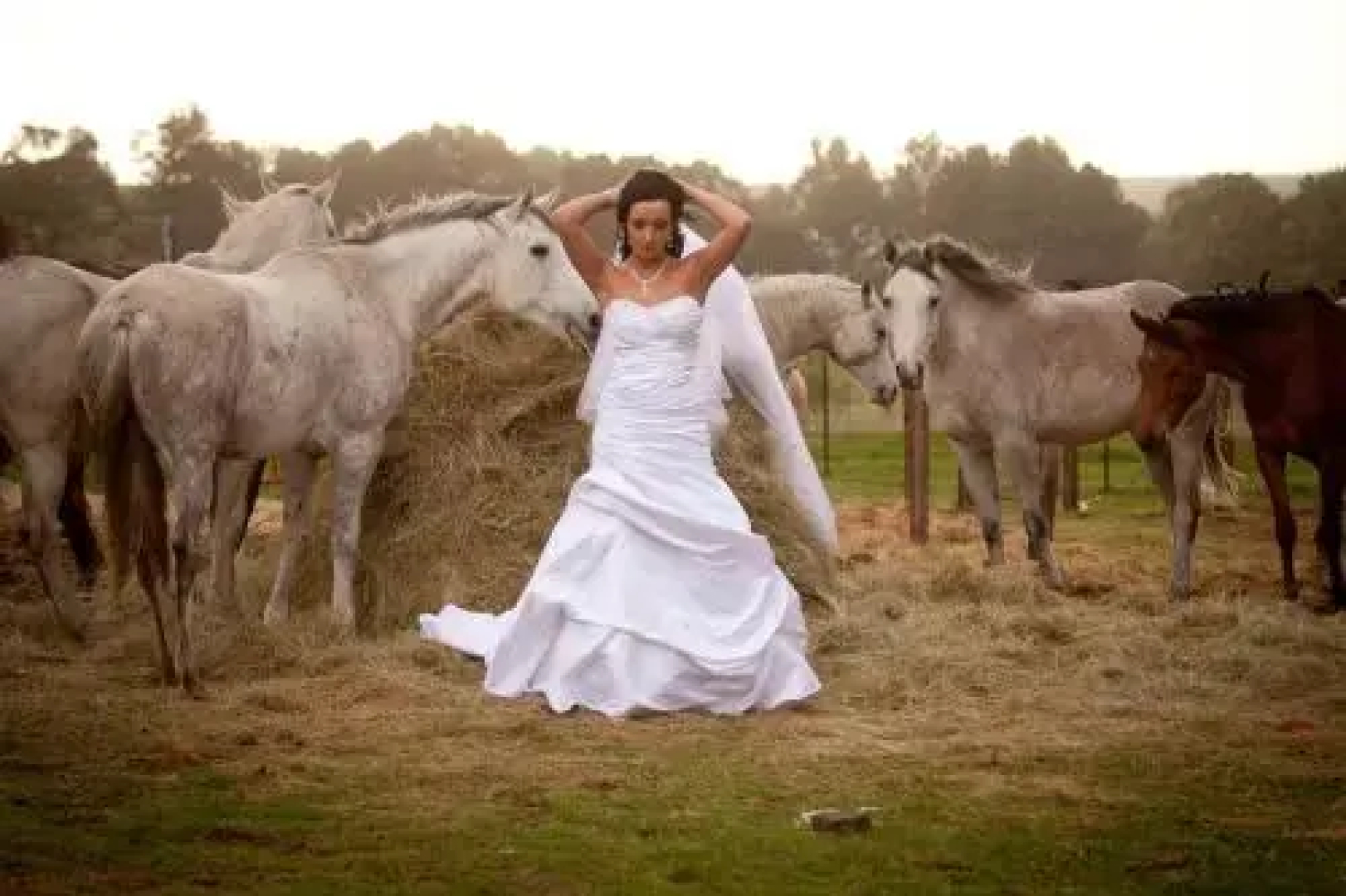Lavender Hill Country Estate and Wedding Venue