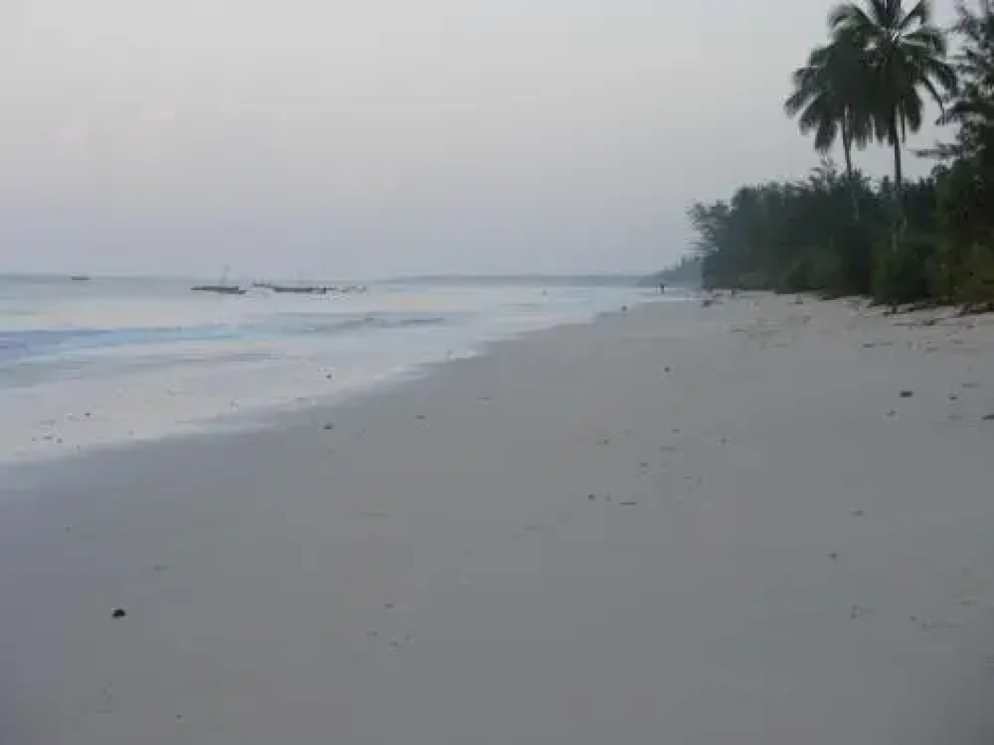 Coast Sun Gardens Cottage