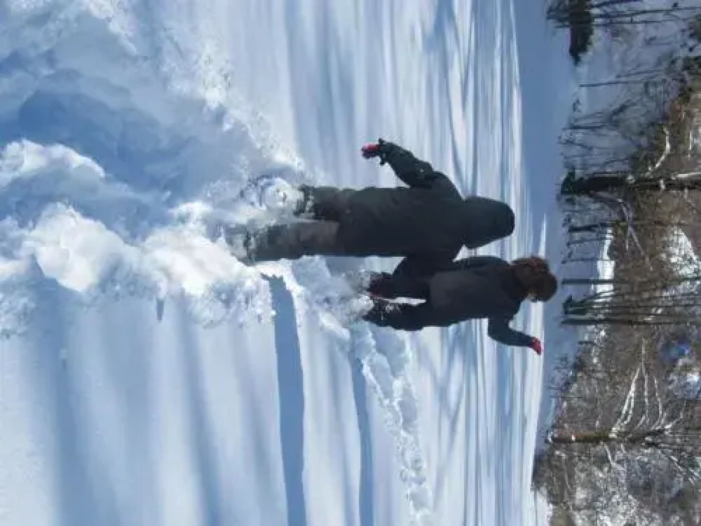 Alba DEsteve. Casa Rural