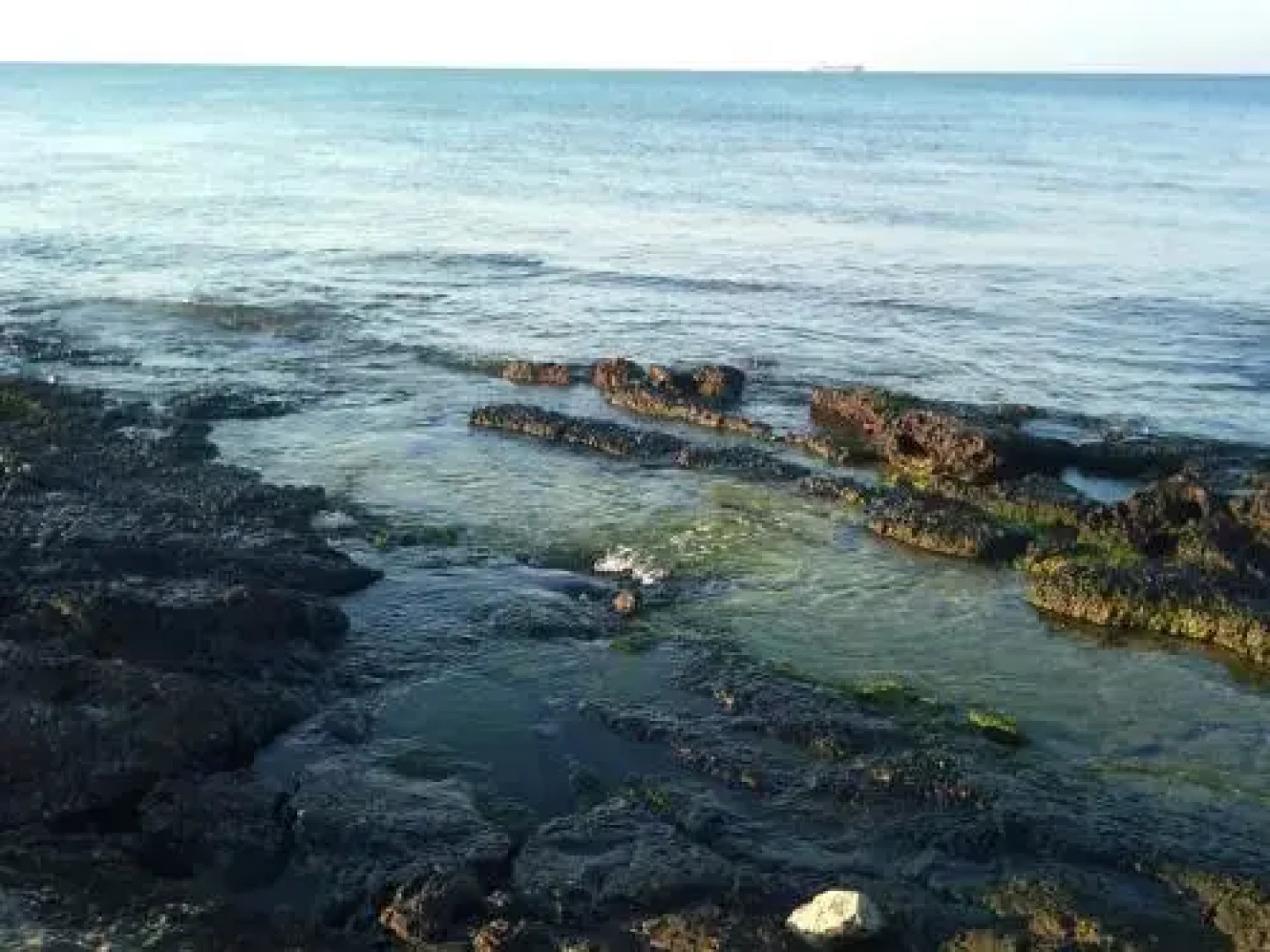 Bed and breakfast Delfino Blu