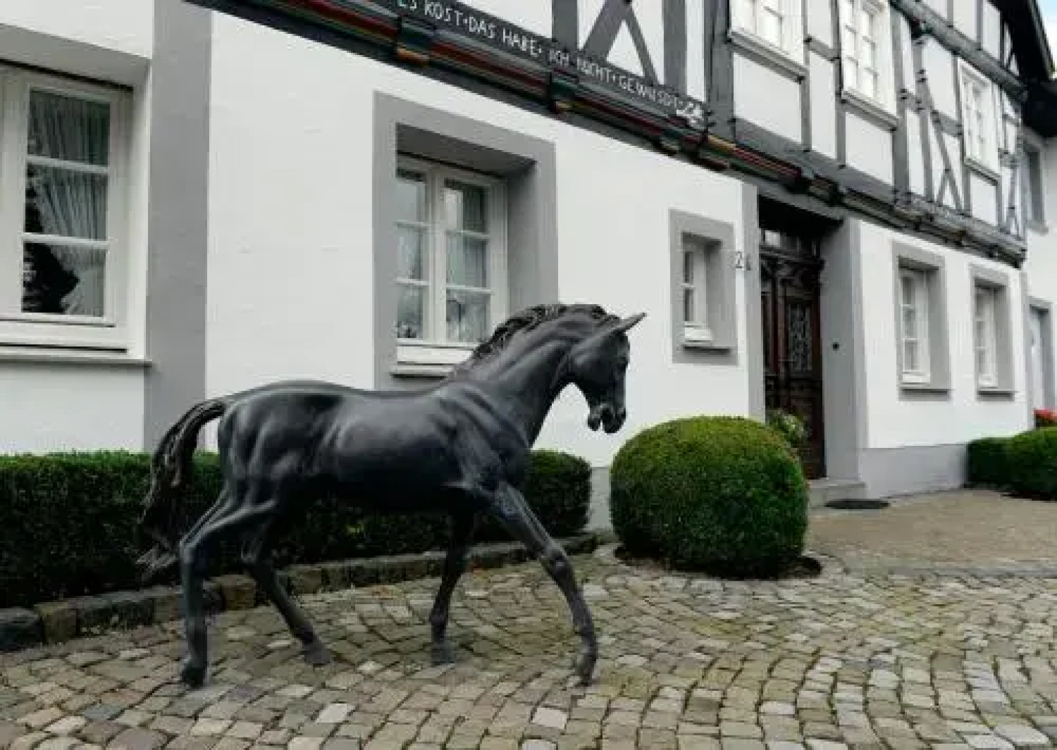 Ferienwohnung Otte-Wiese