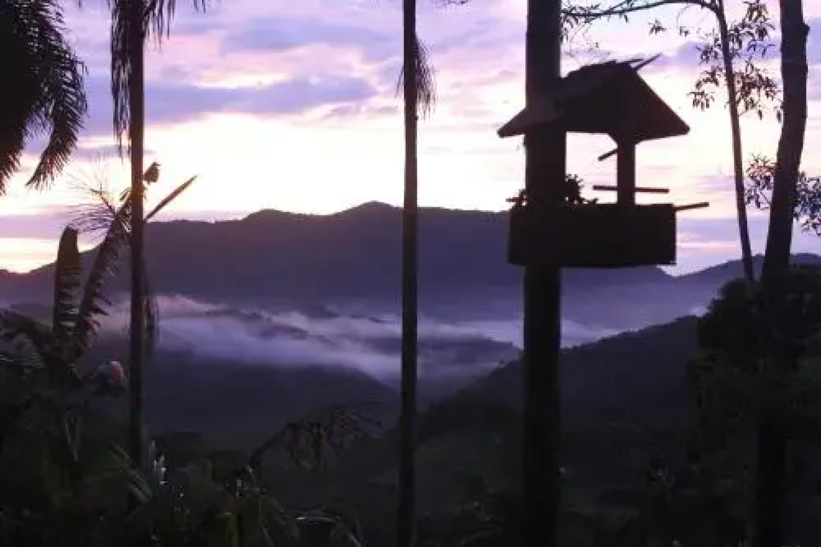 Hostel Radical Adventure