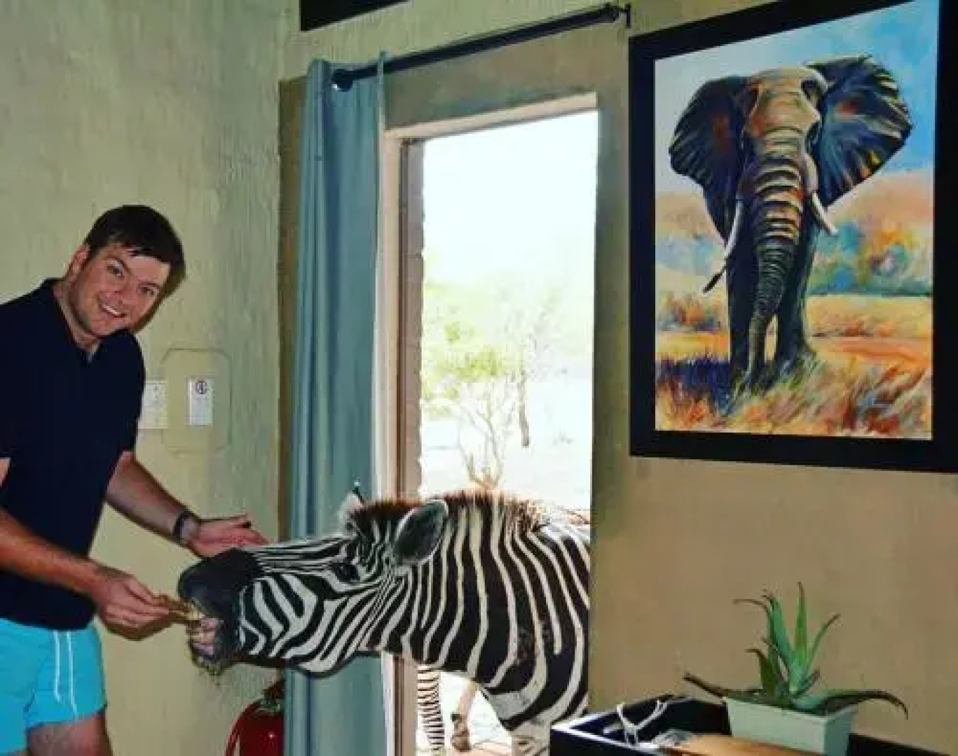 Honey Badger Safari House