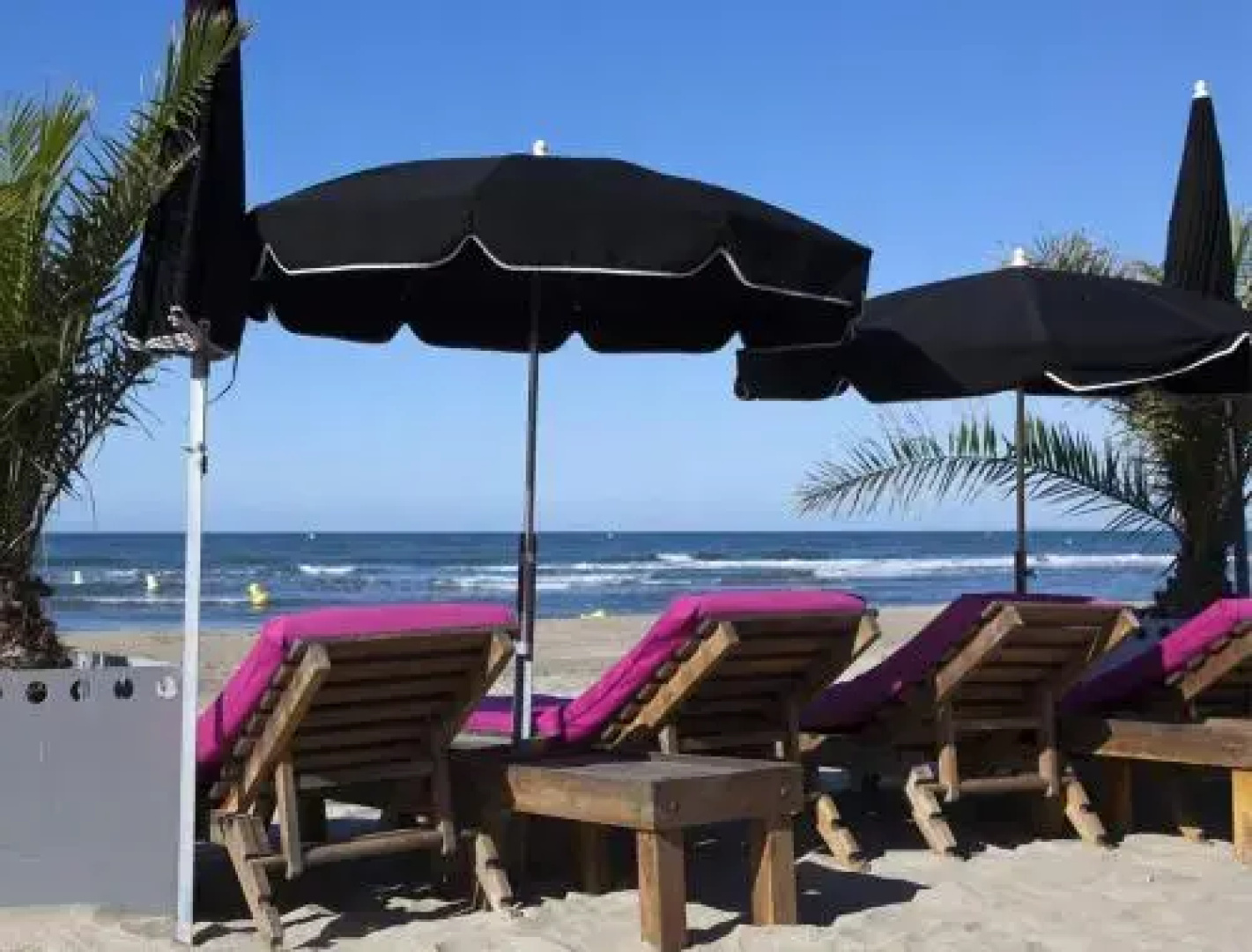 Vittoria Immobilier - Coquillage