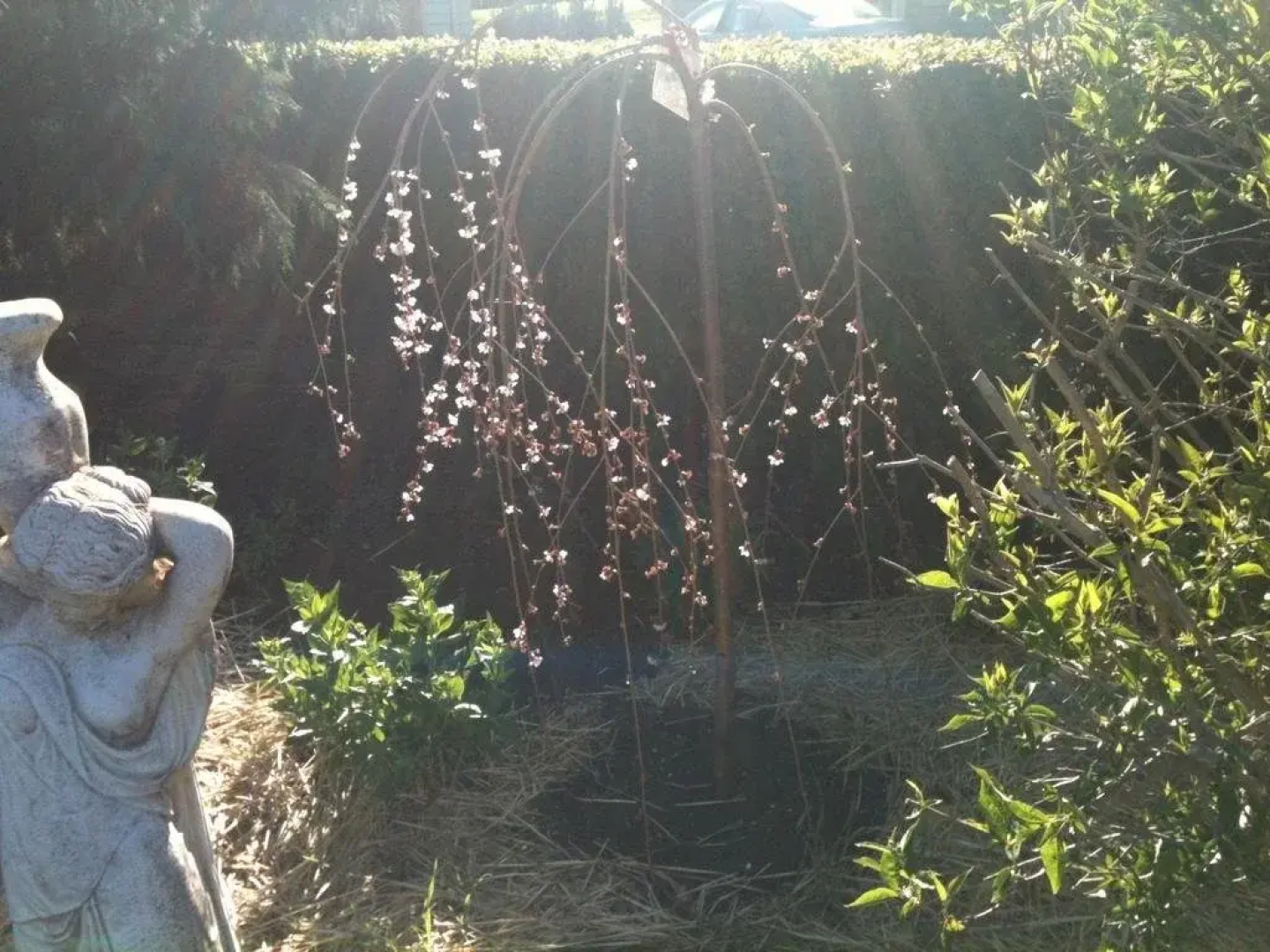 Glen Waverly Farmstay