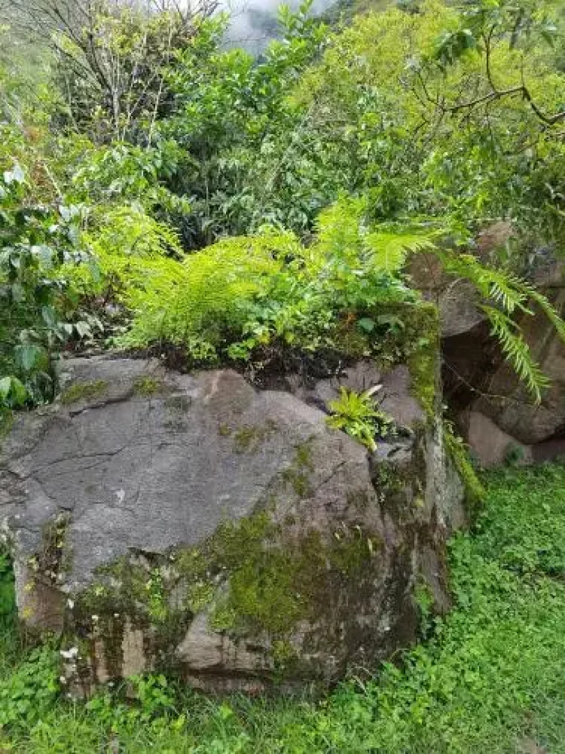 Huigra Viejo Camping Resort