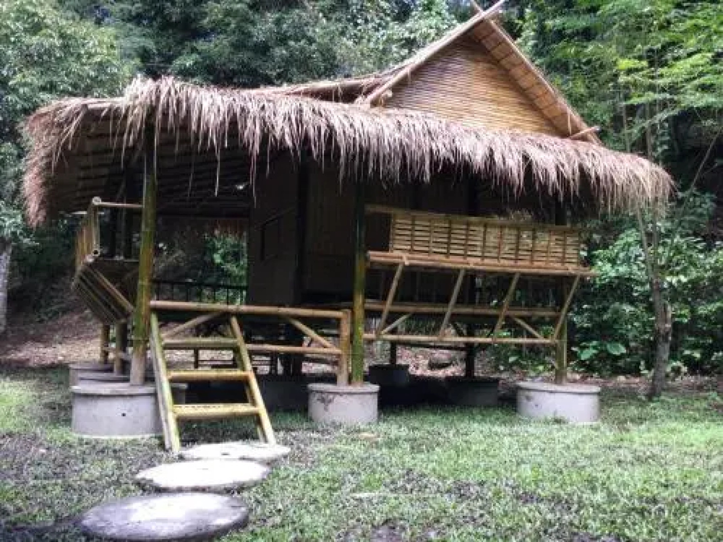 Cool Bananas Homestay