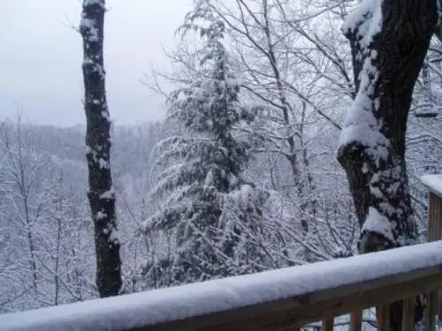 Mountain Treasure Gatlinburg - 2 Br Cabin